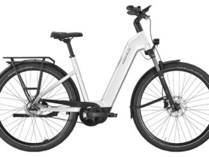 Pegasus Premio EVO 5F Belt