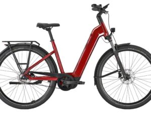 Pegasus Premio EVO 5F Belt